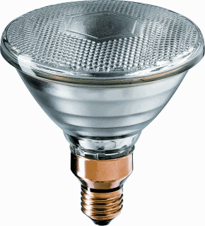 Persglaslamp Flood 120W E27